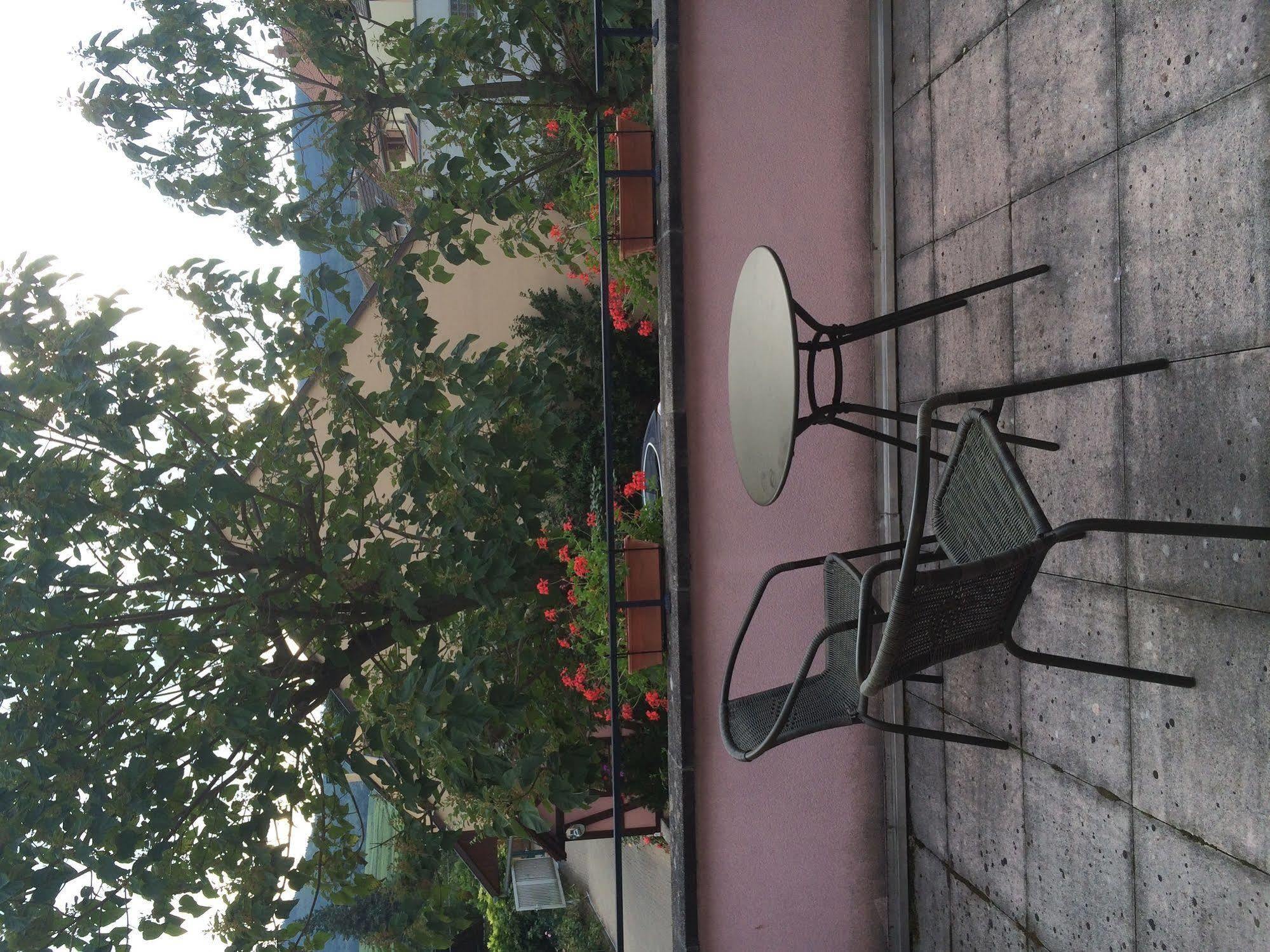 Hotel Colmar Vignes 엥기쉬하임 외부 사진