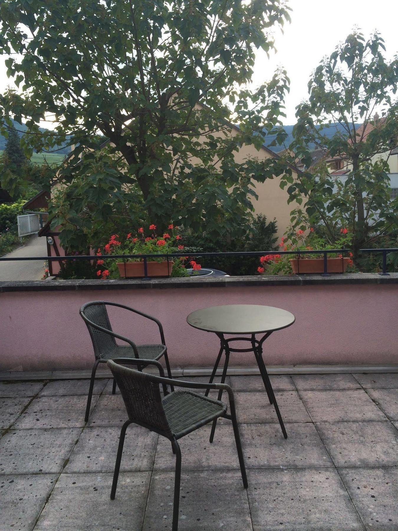 Hotel Colmar Vignes 엥기쉬하임 외부 사진