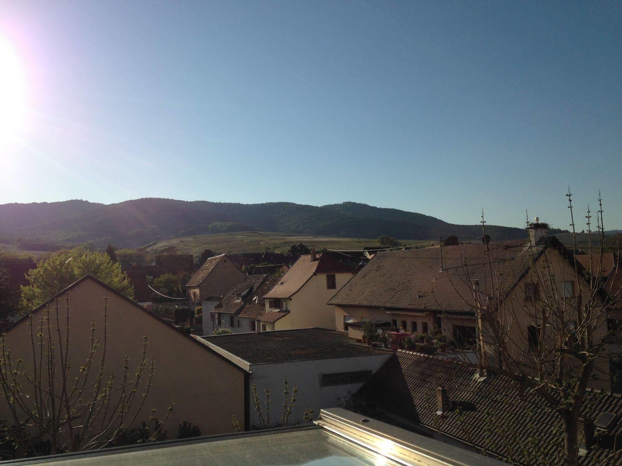 Hotel Colmar Vignes 엥기쉬하임 외부 사진